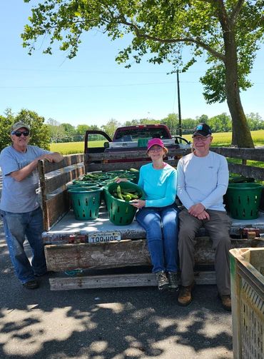 Members of our team gleaning food from farmer's fields as part of Bushels of Blessing.