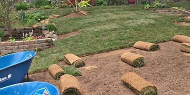 Only premium cut tall  fescue Sod is used, 
hand-selected from local turf farms in our area.