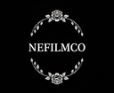 Northeast Film Collective