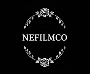 Northeast Film Collective