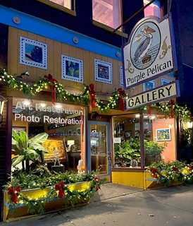 Purple Pelican Gallery