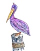 Purple Pelican Gallery