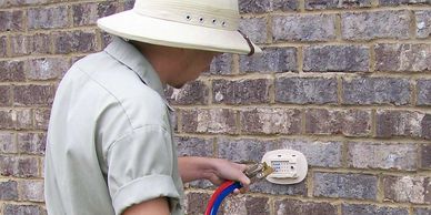 Pest Control Termite Services Pensacola Fl Milton Fl Pest Safari