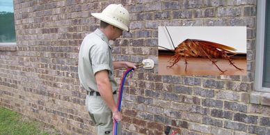 Pest control treatments guaranteed at controlling hundreds of household pest 
