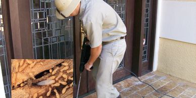 Specializing in Formosan and subterranean termite treatments. 100% termite elimination GUARANTEED!  