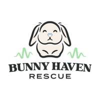 Bunny Haven Rescue