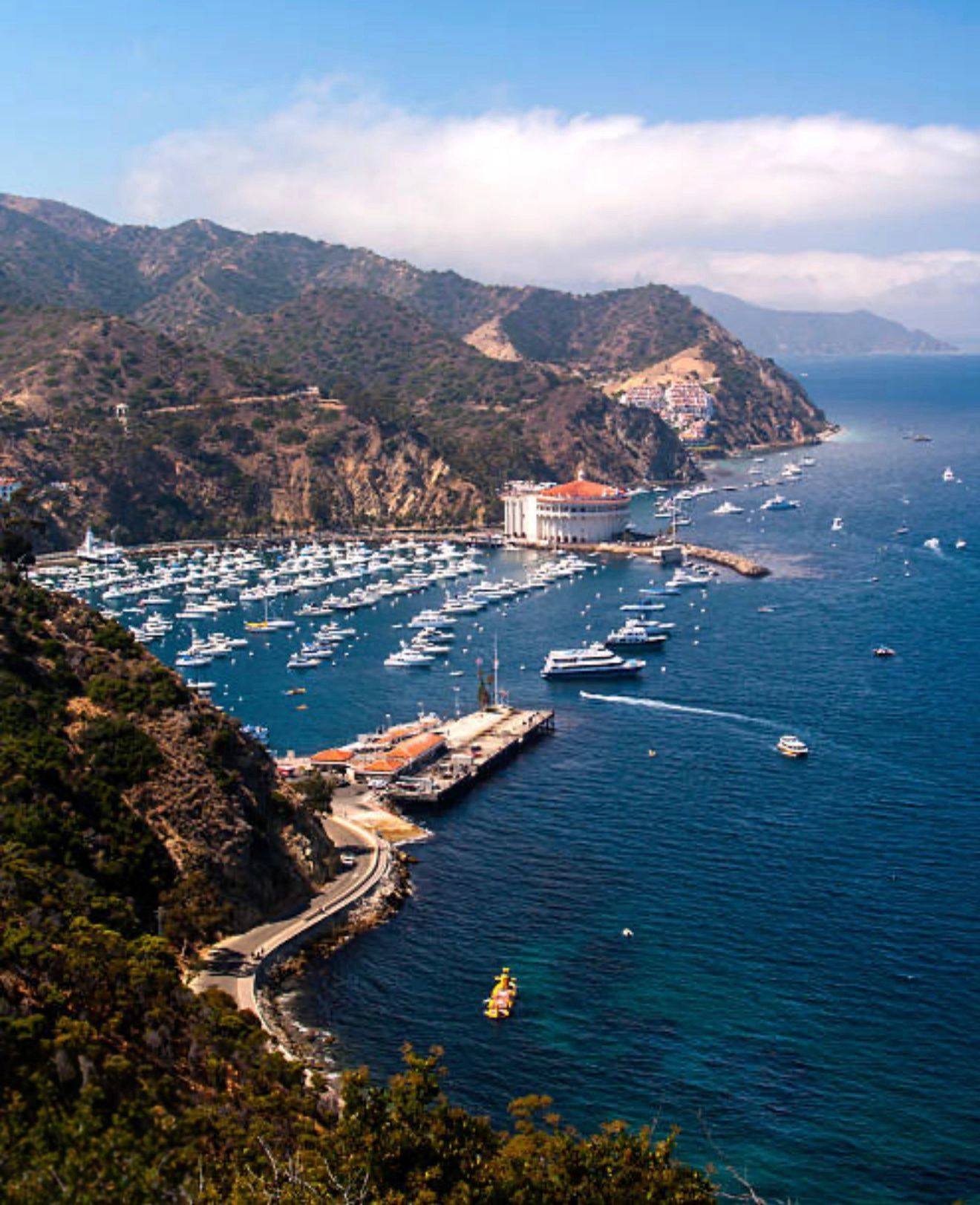 Catalina Island Tours