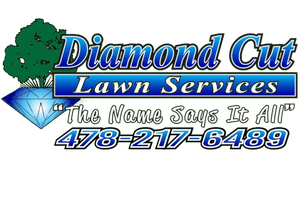 Diamond Cut Lawn Services
