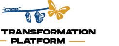 Transformation Platform