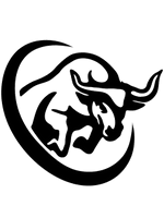 Bull Run Construction LLC