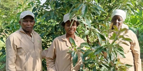 Three people in beige work uniforms standing outdoors near plants.
