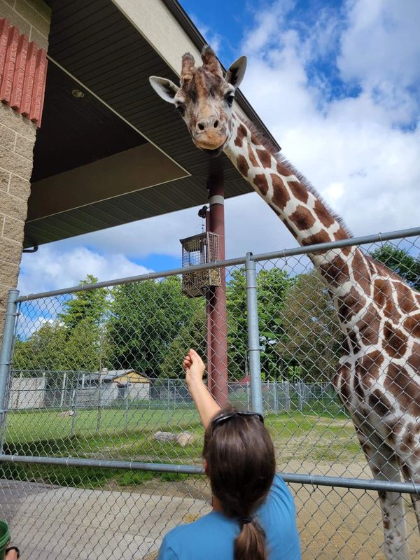 Hay so good, Zuri at the NEW Zoo, loves to eat it!