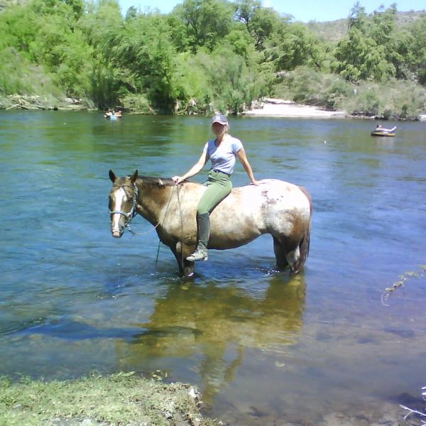Person riding a horse in a river.