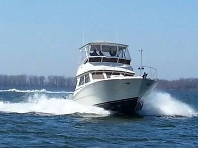 Buckets Fishing Charters Erie Pa Fishing Charter Walleye Charter Buckets Fishing Charters