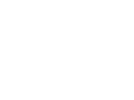 Junk Removal