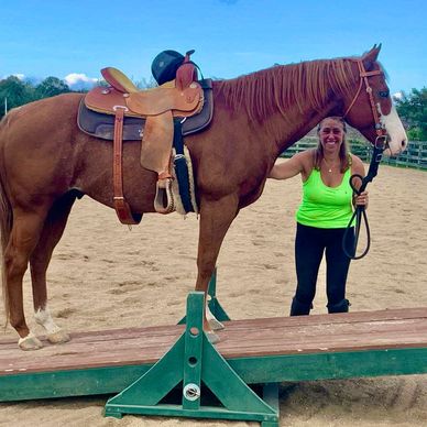 Horse Training and Ground Work