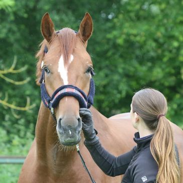 Maddy Frewin during a dressage clinic at MF Dressage in Worcestershire