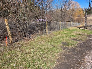 Yard Wire Fence