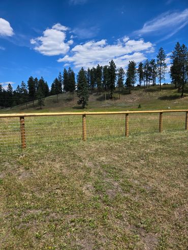 Single Rail With Wire Fencing