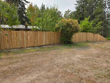 Wood Privacy Fence