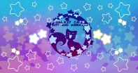 Galaxy Cats Art and Animation
