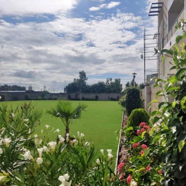 A well-maintained garden with green lawn and colorful flowers beside a building.
