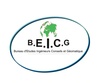 BEICG Burkina