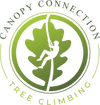 Canopy Connection Tree Climbing