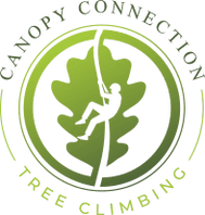 Canopy Connection Tree Climbing