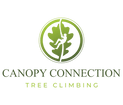 Canopy Connection Tree Climbing