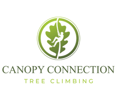 Canopy Connection Tree Climbing