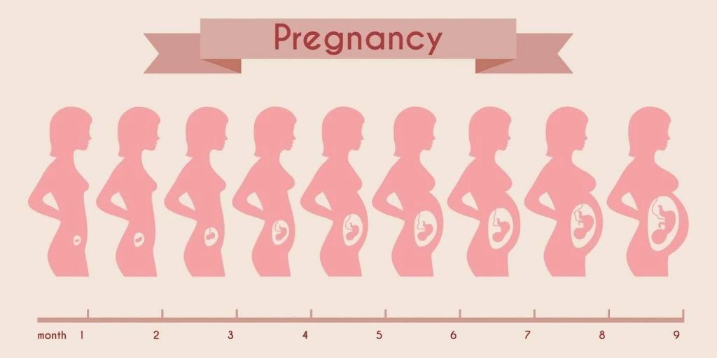 Nutritional Needs During Pregnancy