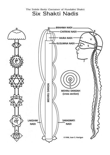 Sound Therapy, Sound bath, chakra resonance, frequency 