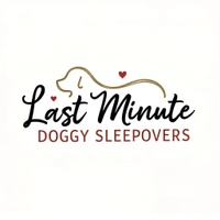 Last minute doggy sleepovers