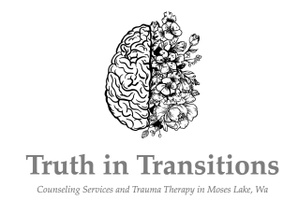Truth in Transitions