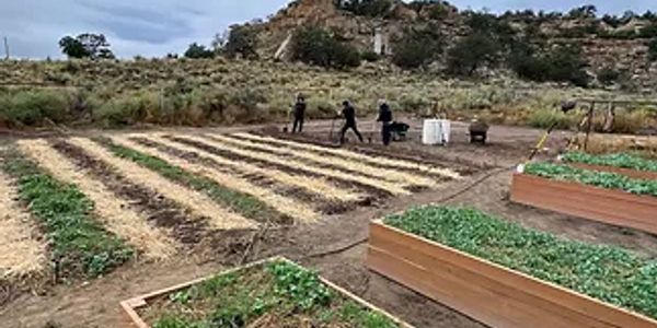 People working in a garden with raised beds.