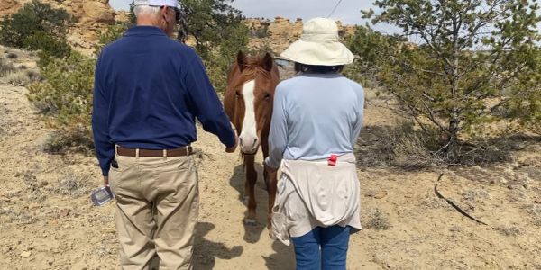 Two people walking towards a horse on a sandy trail.