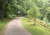 Reconstructed Brook Path, Wellesley, MA