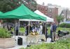 Leyland Street Community Garden, Boston