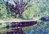 Construction of Pond Walk, Trailside Museum, Blue Hills Reservation, MA