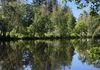 Pond Restoration Dredging, Fuller Brook Park