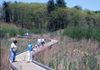 Reconstructed Wetland/Boardwalk, Wellesley College