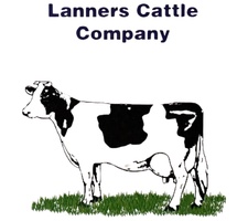 Lanners Cattle Company