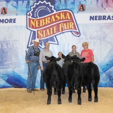 River Lane Simmentals Get Of Sire calves at the Nebraska State Fair 2021