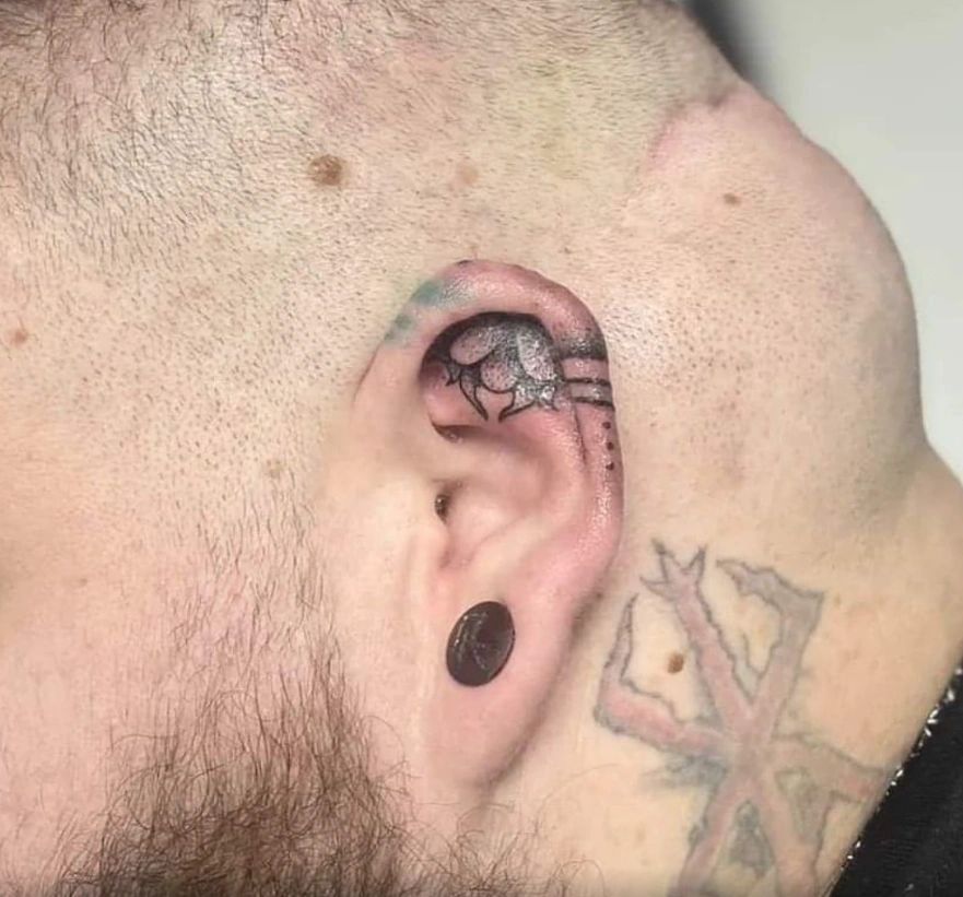 Piercing Types  Ear lobe Piercing  Haven Body Arts Piercing  Tattoo