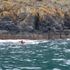 image15
