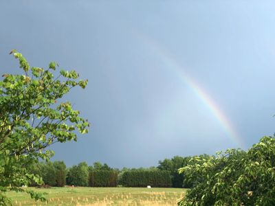 Lillian Lee Farm in the distance, with rainbow over the pasture.