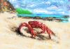 Crab Digital 4 X 6 & Larger - Limited Prints $25 & up