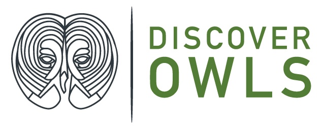 Discover Owls