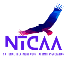National Treatment Court Alumni Association 